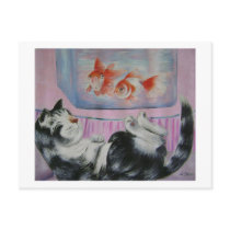 goldfish dream postcards