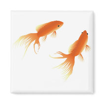 GOLDFISH magnets