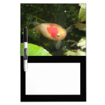 Goldfish Memo Board Dry-Erase Boards