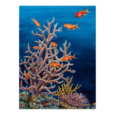 Goldfish of the Sea Poster by Starcen