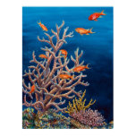 Goldfish of the Sea Poster