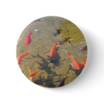 Goldfish Pond buttons
