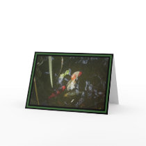 "Goldfish Pond" - Dark Green Border GC cards by wearartware "Goldfish Pond" - Dark Green Border GC cards