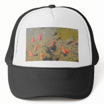 Goldfish Pond Mesh Hat