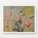 Goldfish Pond mousepads