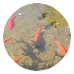 Goldfish Pond stickers