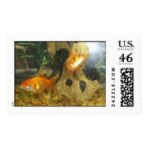 Goldfish postage