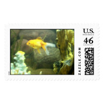 Goldfish postage by JLWinther Goldfish postage