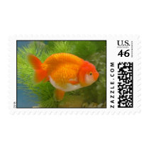 Goldfish postage by kimwee Goldfish postage