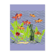 Goldfish Post Card