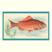 Goldfish