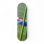 Goldfish Skate Decks