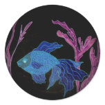 Goldfish Turned Betta