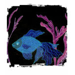 Goldfish Turned Betta Goldfish Turned Betta