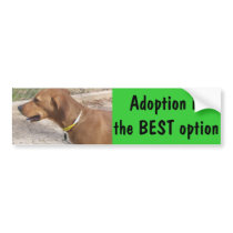 Goldie Bumper Sticker