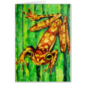 Goldie The Tree Frog Cards by jaisjewels Goldie The Tree Frog Cards