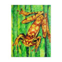 Goldie The Tree Frog Postcards by jaisjewels Goldie The Tree Frog Postcards