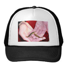 Goldline darters, Percina aurolineata Mesh Hats