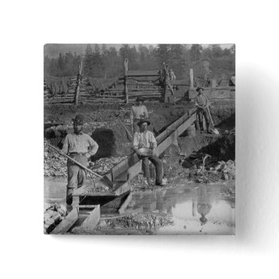 gold rush miners pictures. Goldminers Gold Rush Miners