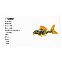 Goldy Sunshine Pleco Business Card