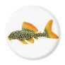 Goldy Sunshine Pleco Magnet