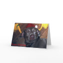 Goldylocks cards