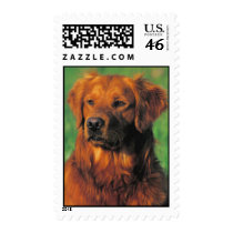 Golen Retriever postage stamp