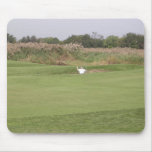 Golf Anyone?