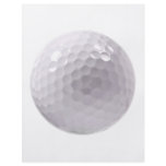 Golf ball flyer