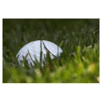 golf ball hiding card
