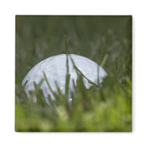 golf ball hiding refrigerator magnets