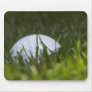 golf ball hiding mouse pad
