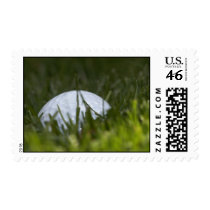 golf ball hiding stamp