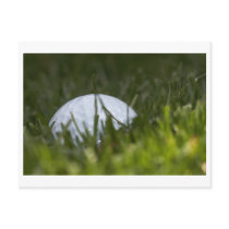 golf ball hiding postcard