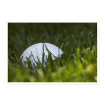 golf ball hiding posters