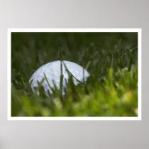 golf ball hiding print