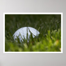 golf ball hiding print