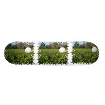 Golf Ball on Course Skateboard