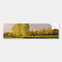 Golf Course in Autumn Bumper Sticker