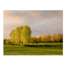 Golf Course in Autumn Postcard