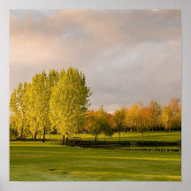 Golf Course in Autumn Poster