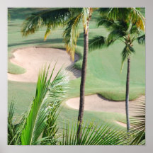 Golf Course in Tropics Poster