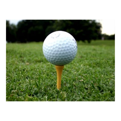 Golf Poster by Lamb_And_Co