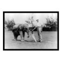 Golfer and Elephant Caddy in Miami, FL 1922 posters by lc_vintagephotos Golfer and Elephant Caddy in Miami, FL 1922 posters