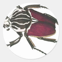 Goliath Beetle Round Stickers