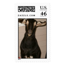 Goliath.jpg postage by kwojtani Goliath.jpg postage