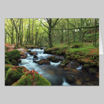 Golitha Falls cards