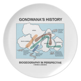 Gondwana's History Biogeography In Perspective Plates