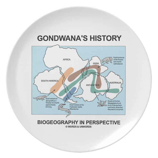Gondwana's History Biogeography In Perspective Plates