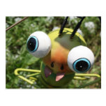 Gone Buggy Post Cards